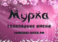 Значение имени Мурка. Имя Мурка.