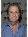 Фотография Brian Wilson