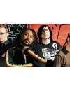 Фотография Skindred