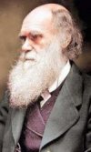 Фотография, биография Чарлз Дарвин Charls Darwin