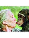 Фотография, биография Джейн Гудол Jane Goodall