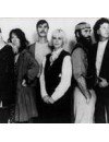 Фотография, биография Steeleye Span Steeleye Span