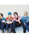 Фотография, биография Stone Pilots Stone Temple Pilots