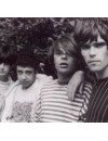 Фотография, биография Stone Roses Stone Roses