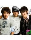 Фотография, биография Джонас Бразерс Jonas Brothers