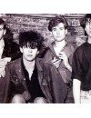 Фотография, биография Echo and the Bunnymen