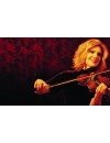 Фотография, биография Элисон Краусс Alison Krauss