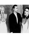 Фотография, биография Human League Human League