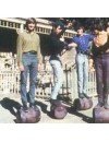 Фотография, биография Monkees
