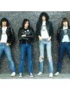 Фотография, биография Ramones
